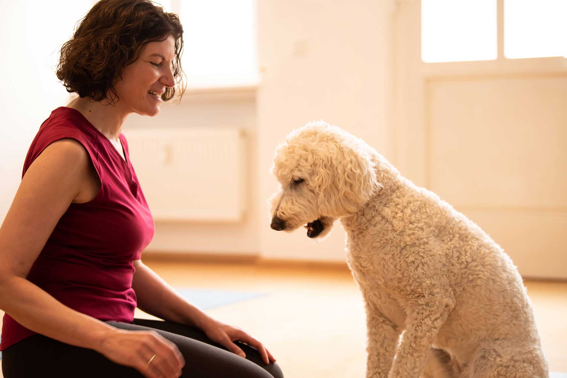 „Yogastudio mit Hund??? Wie alles begann und wie eins zum Anderen kam…“