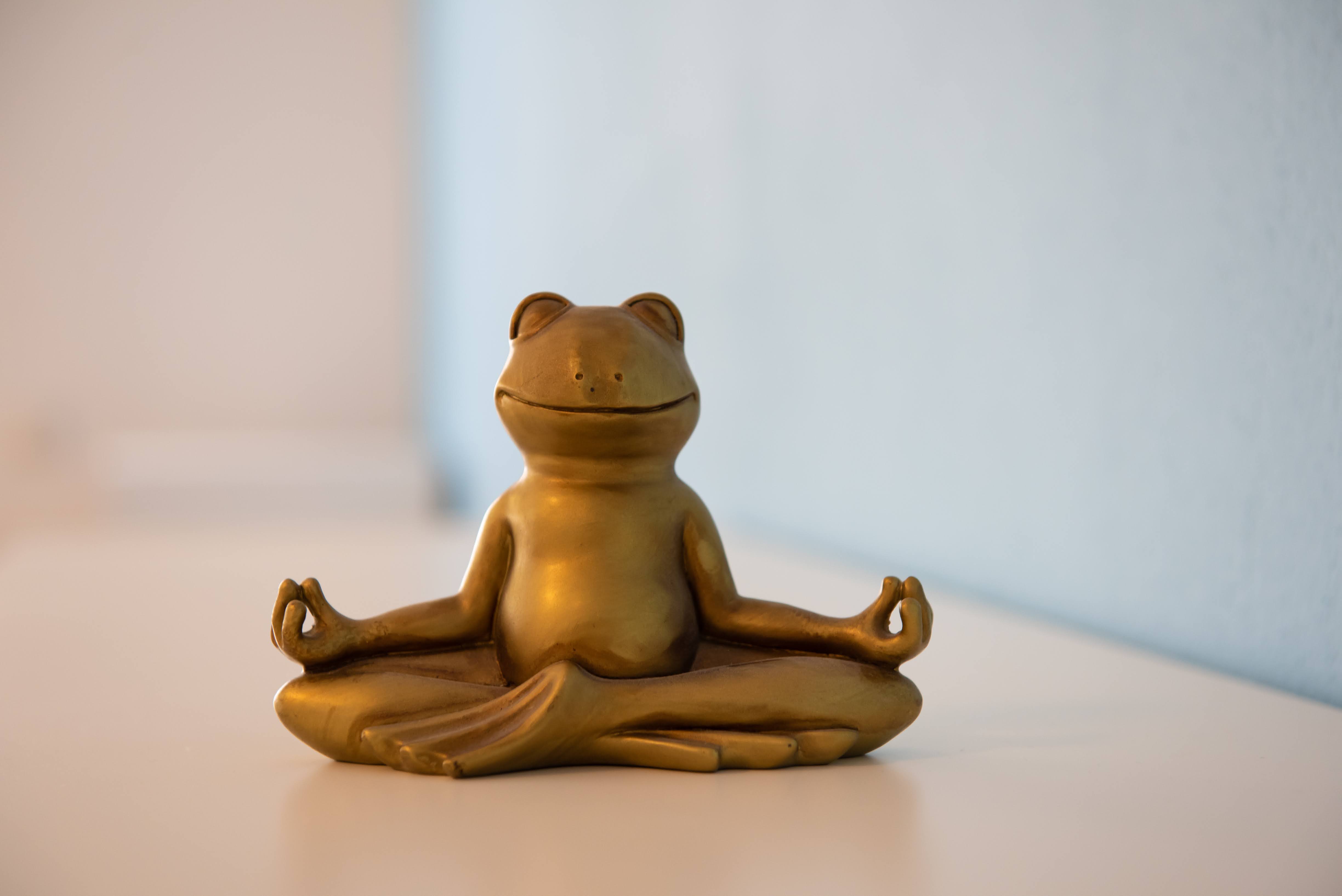Yogakurse ab Januar 2023